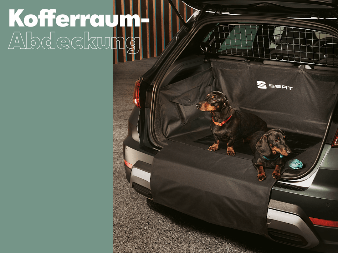 SSO Zubehör Autohaus Brass Darmstadt GmbH & Co. KG